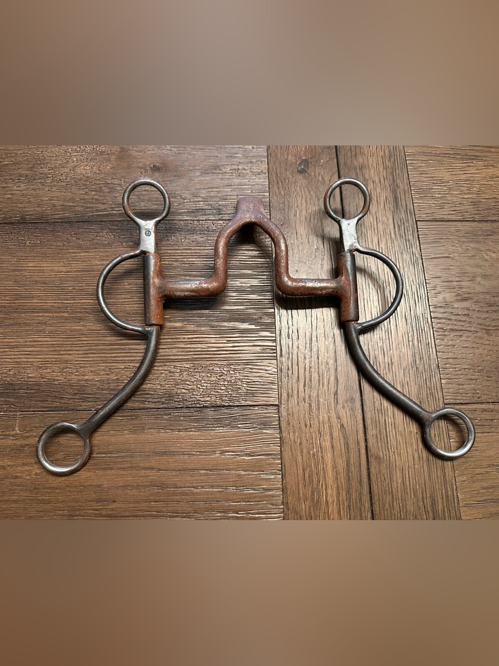 Horse Tack - 5” Greg Darnall Cathedral Western Curb Bit